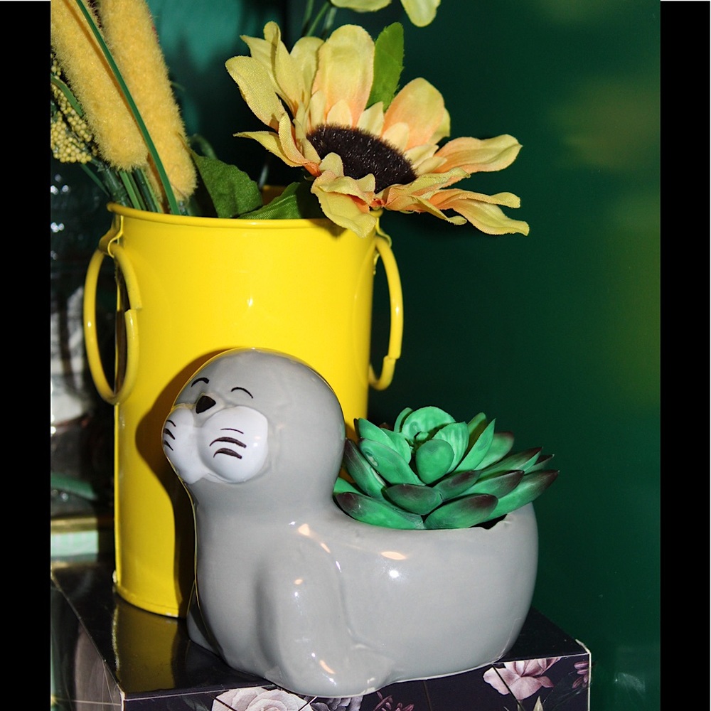 💚3/20$5/25💚MINI CERAMIC SEAL PLANTER POT